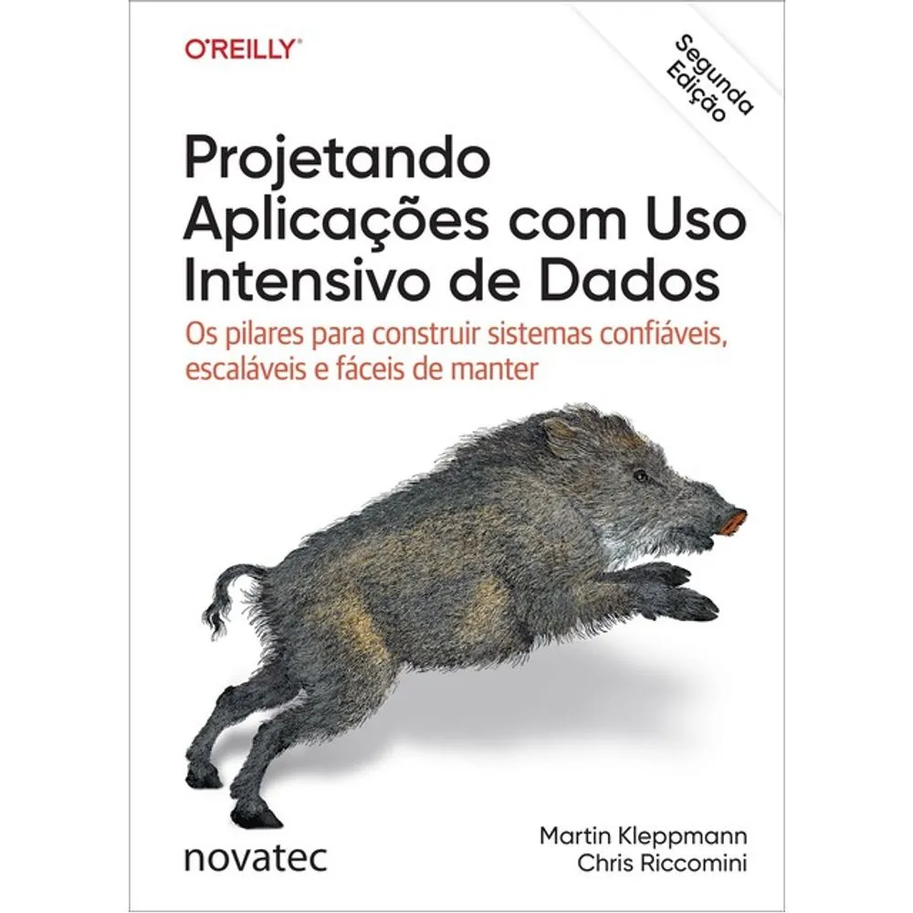 9786583913067 Projetando Aplicações com uso Intensivo de Dados - Imagem 1