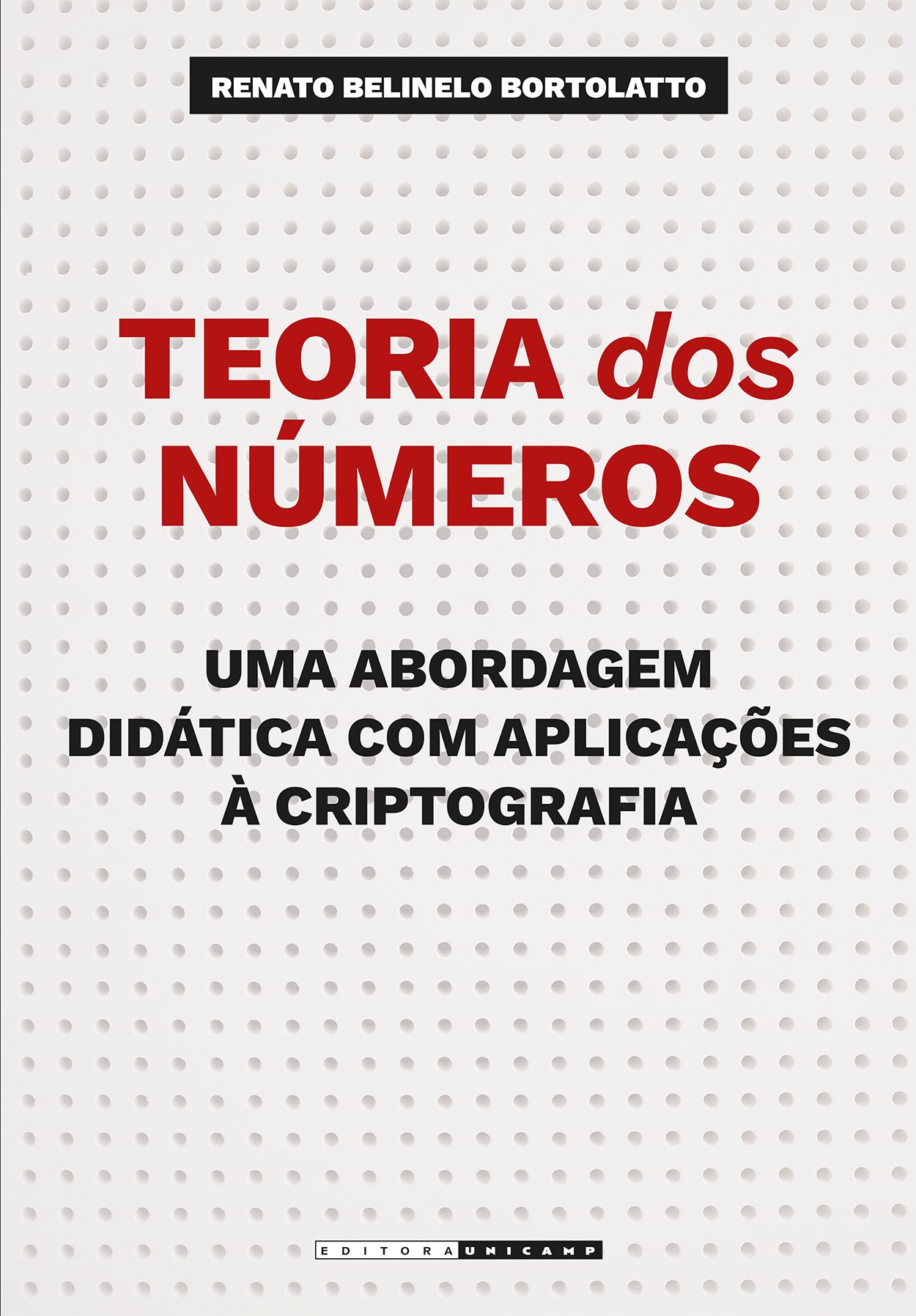 9788526817951 Teoria dos Números - Imagem 1