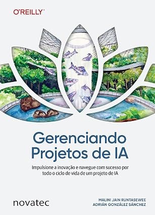 A Gerenciando Projetos de IA - Imagem 1